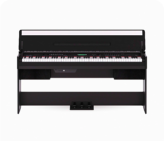 Acoustic FX350CE