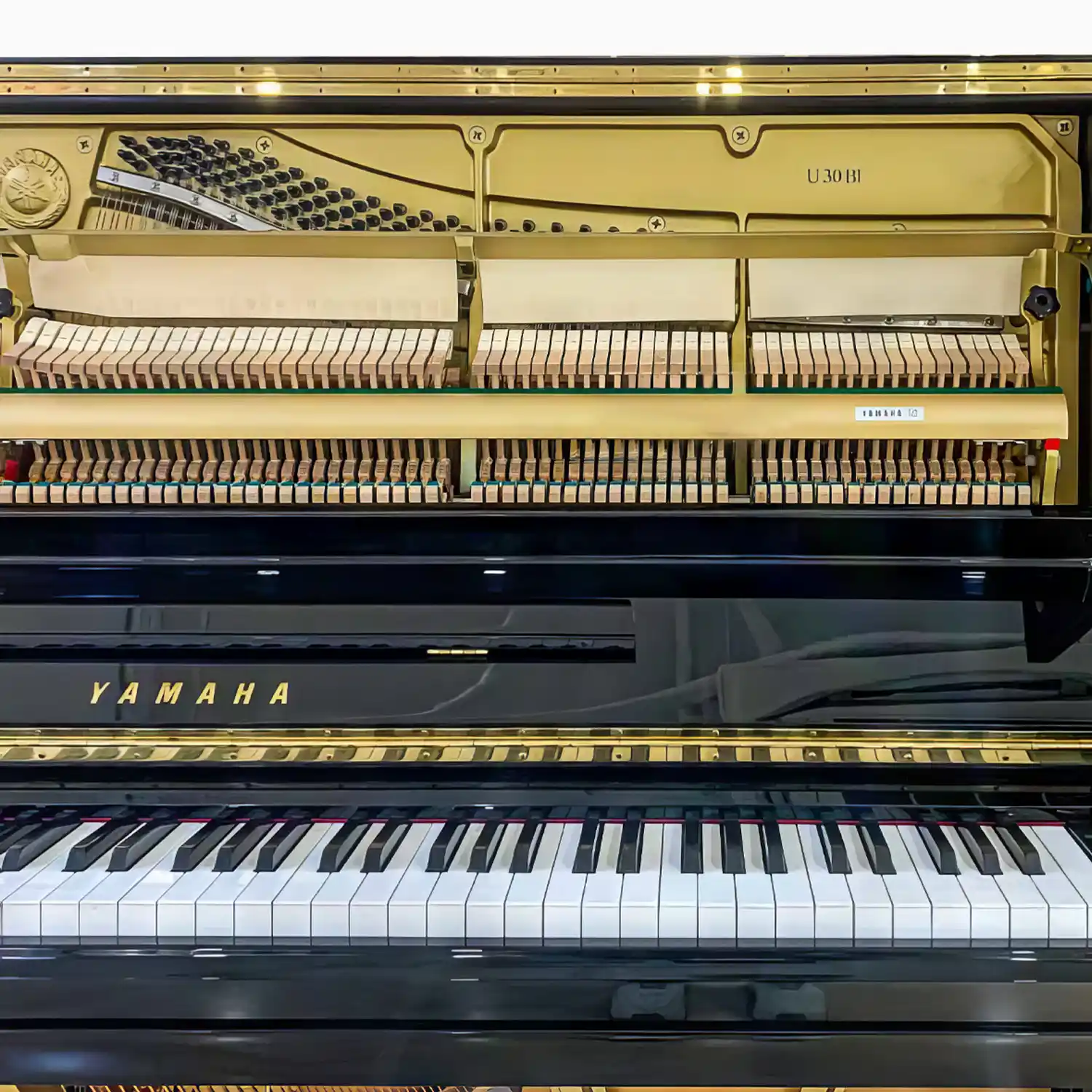 galary_image_product_1882--1883