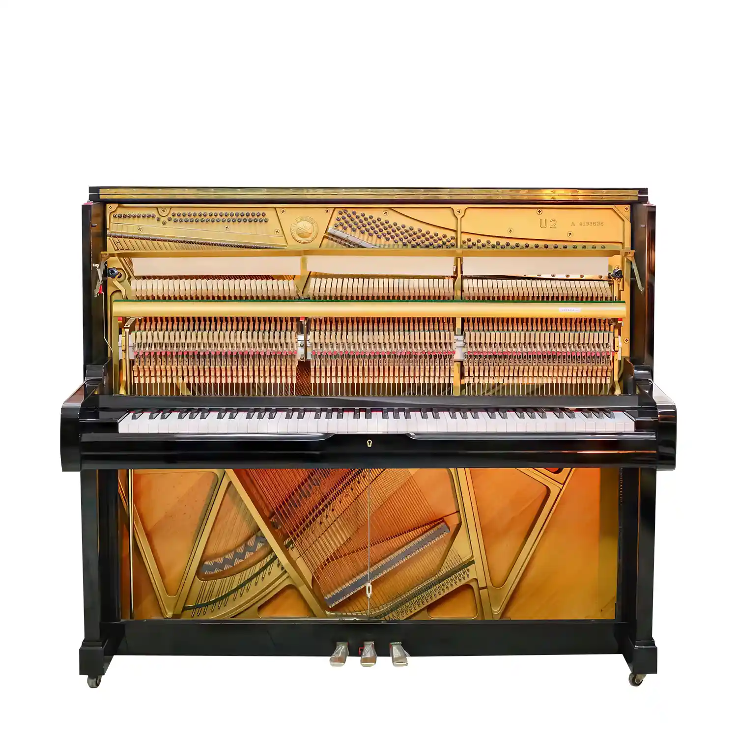 galary_image_product_1852--1856