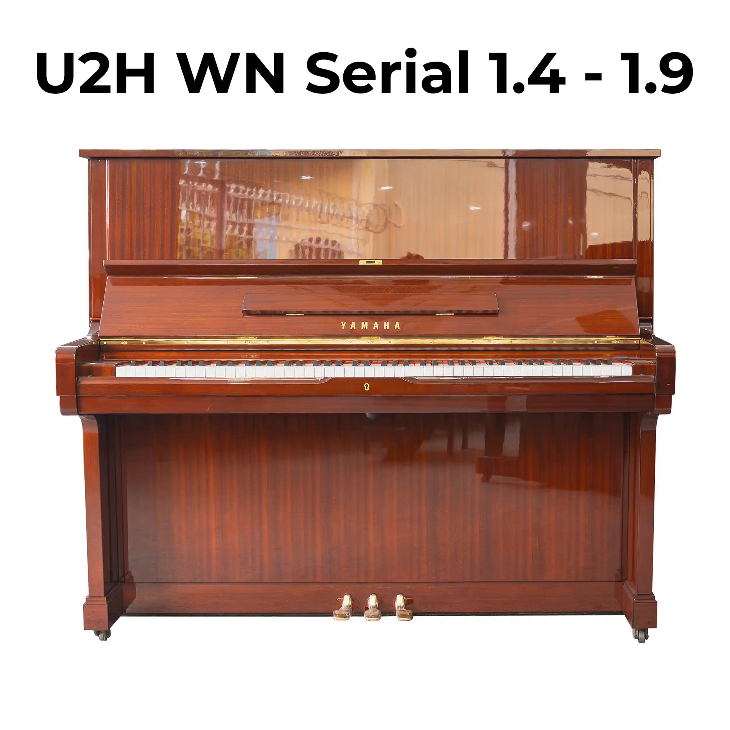color-walnut