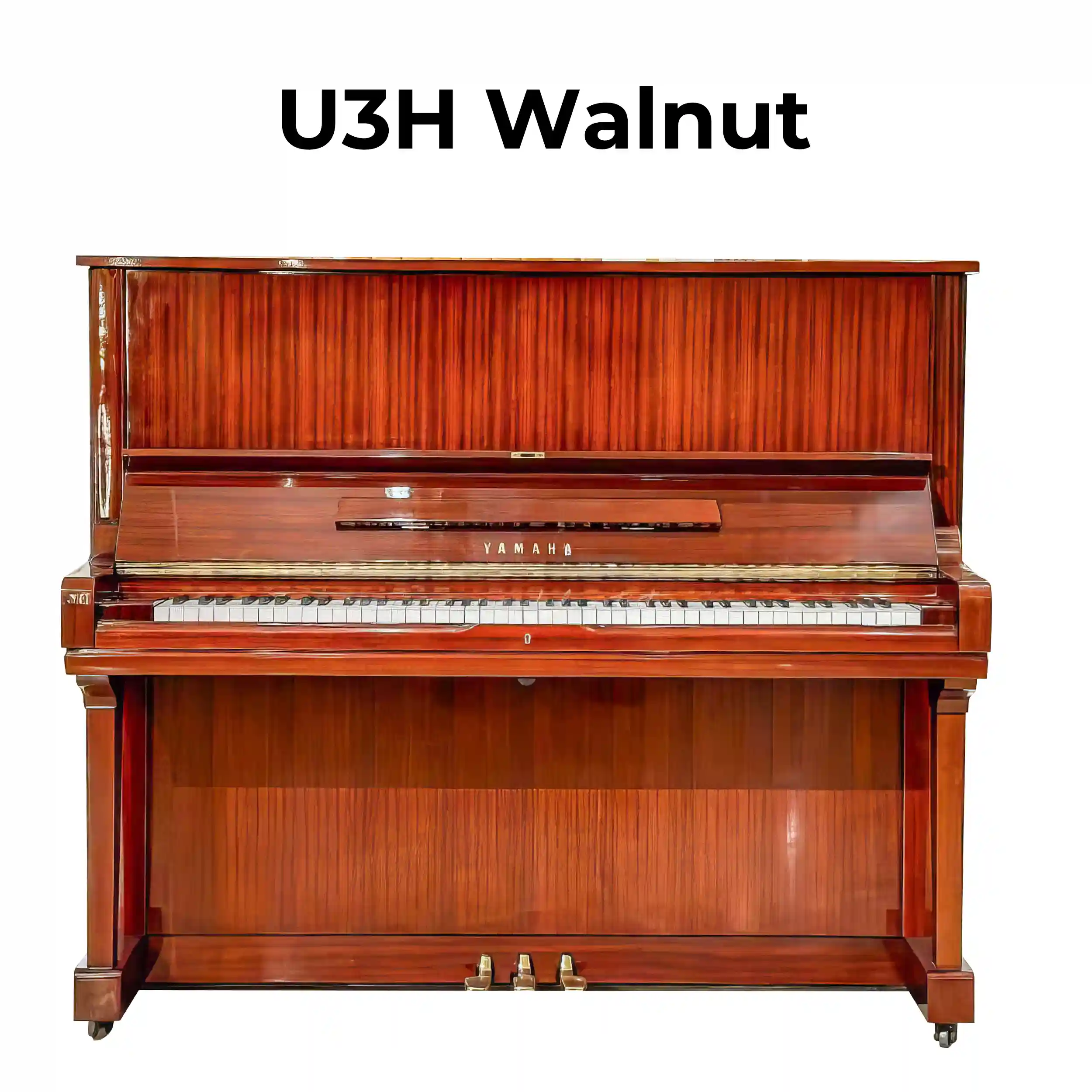 color-walnut