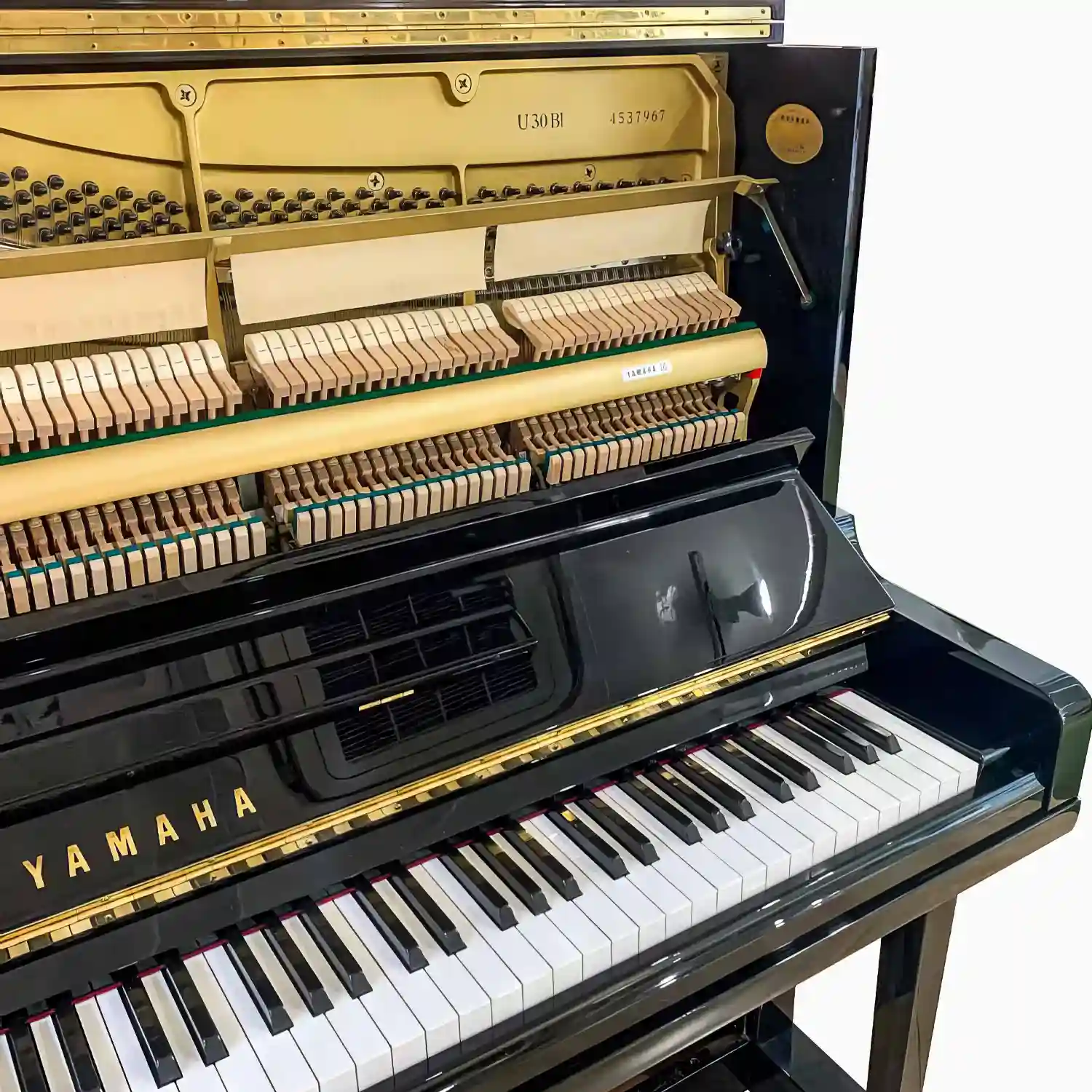 galary_image_product_1882--1888