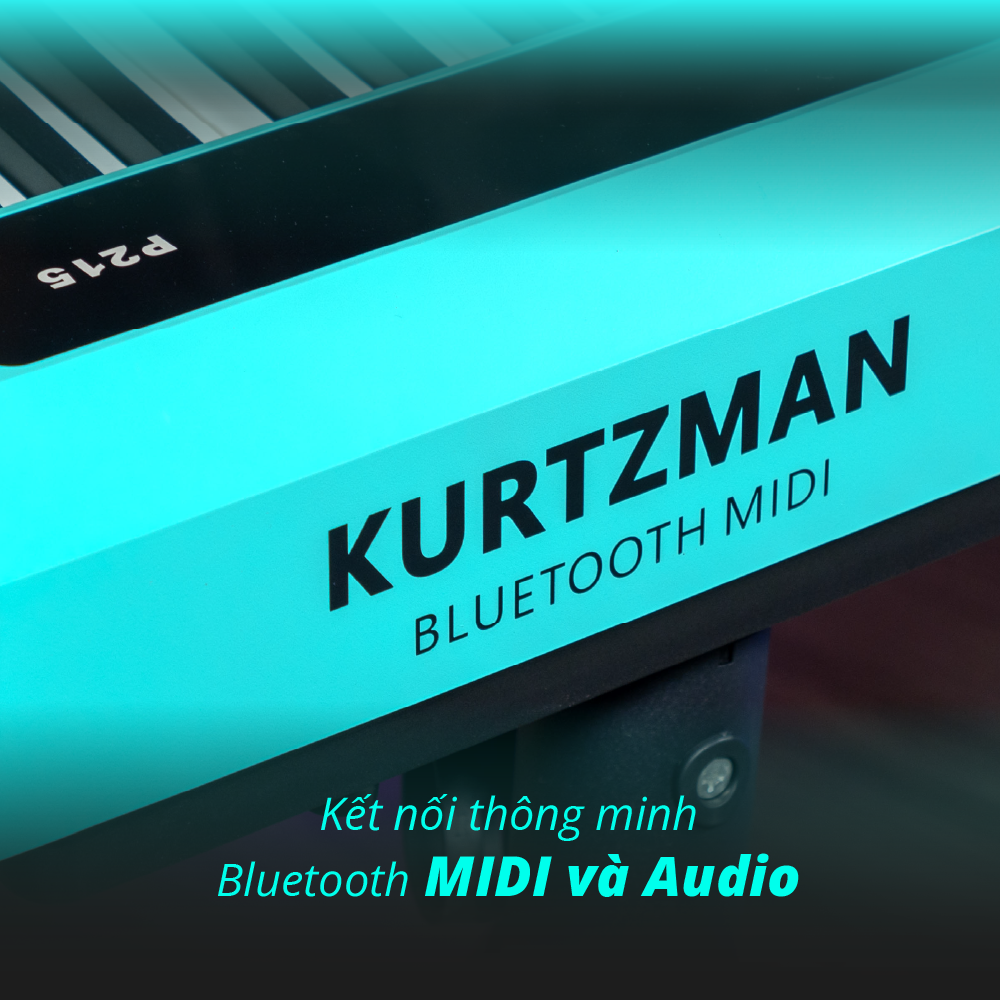 bluetooth midi/audio trên kurtzman p215