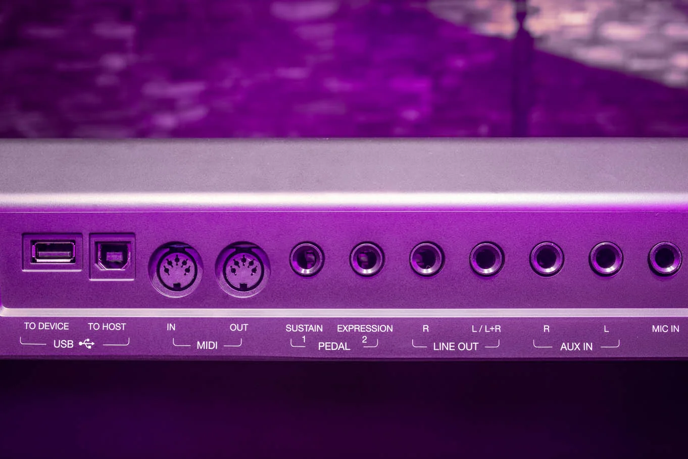 Kurtzman SV800 - cổng kết nối