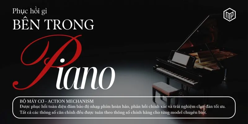 Những bộ phận cần được sửa chữa và phục hồi đàn piano cơ cũ - 4