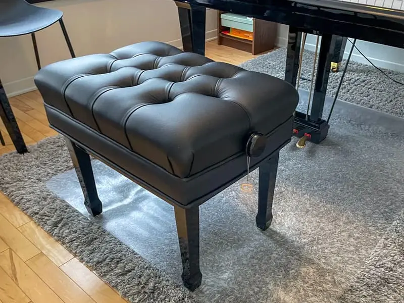 Phụ Kiện Đàn Piano Điện Cần Thiết - 2