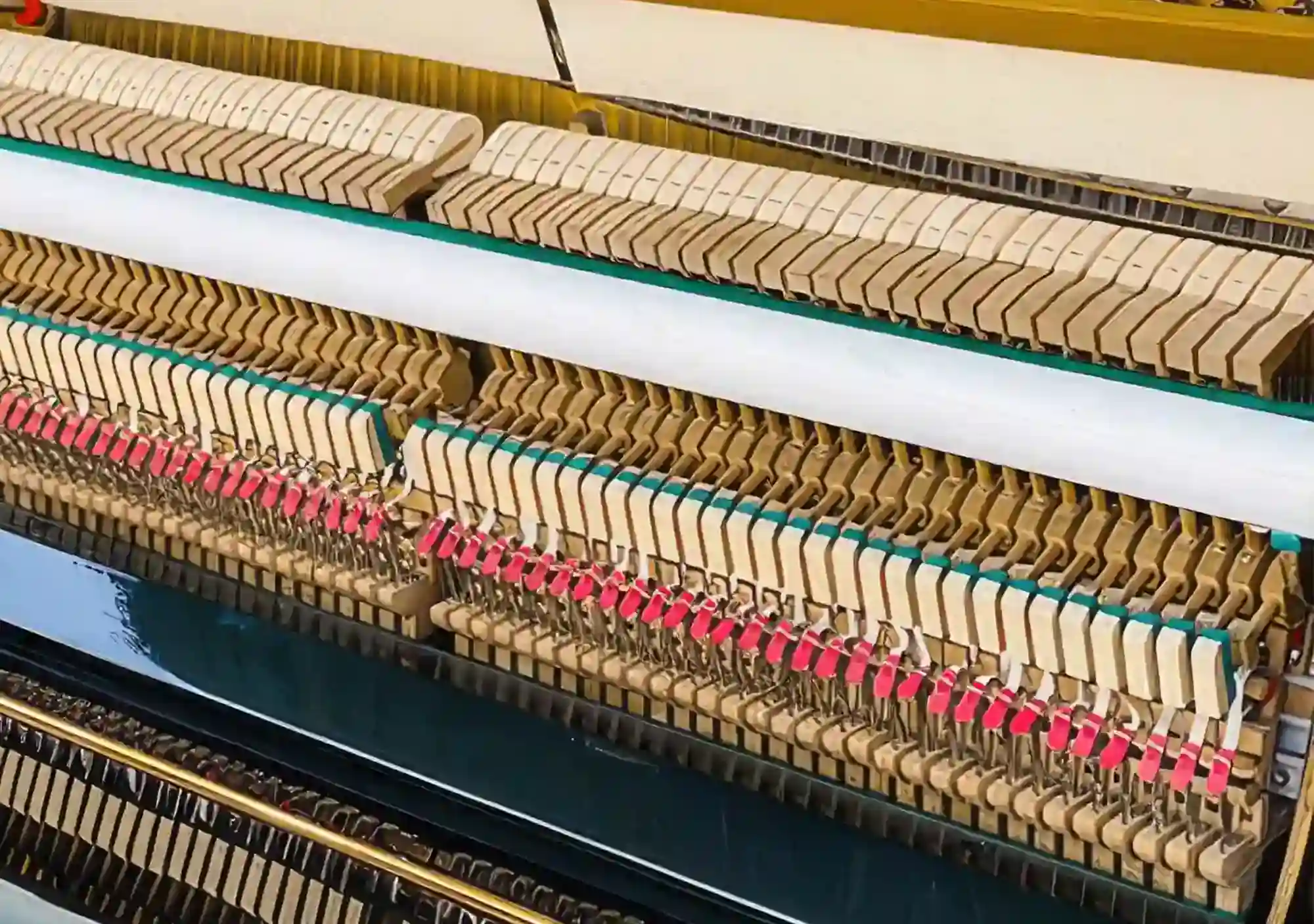 galary_image_product_5890--5892