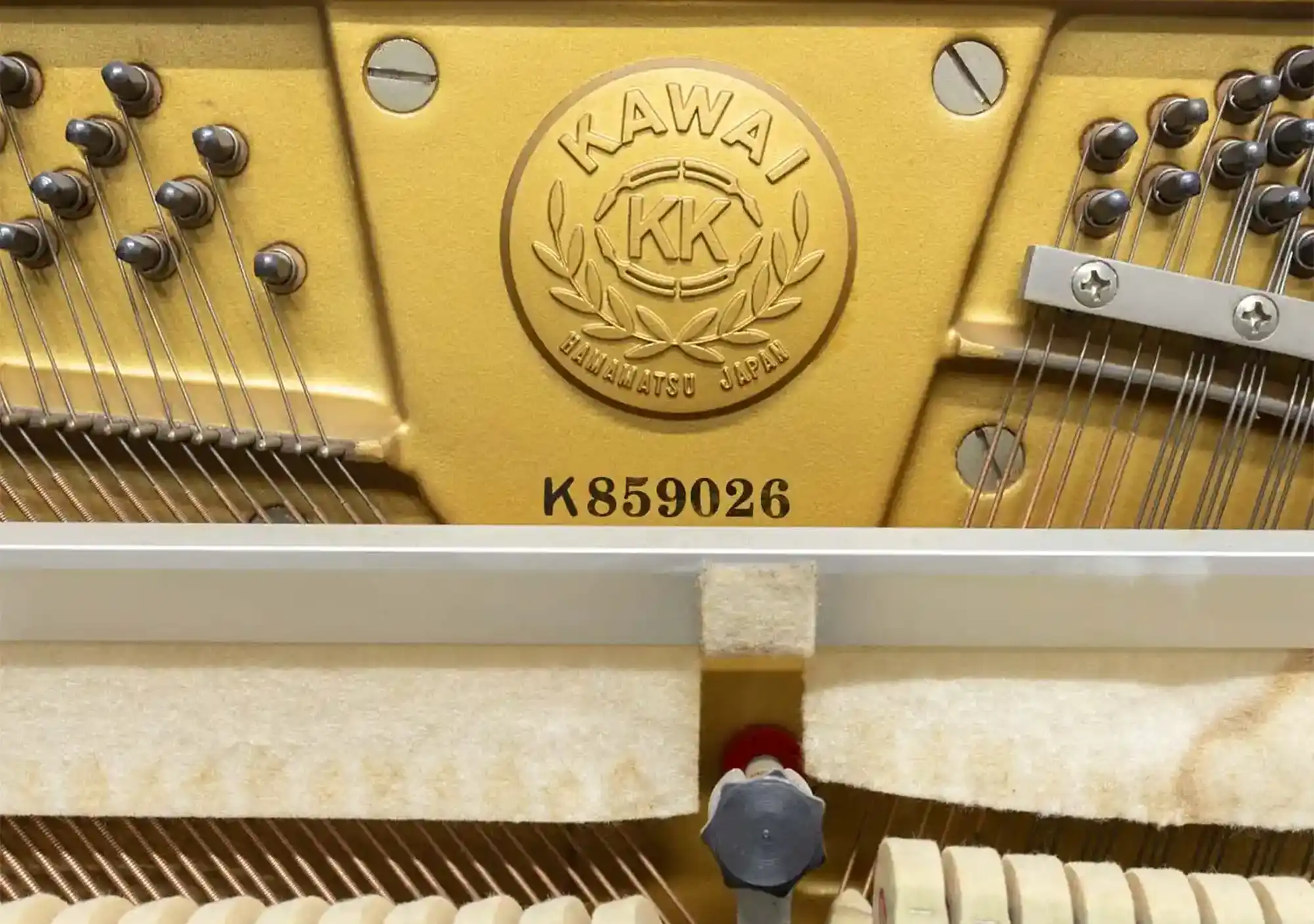 galary_image_product_5613--5642