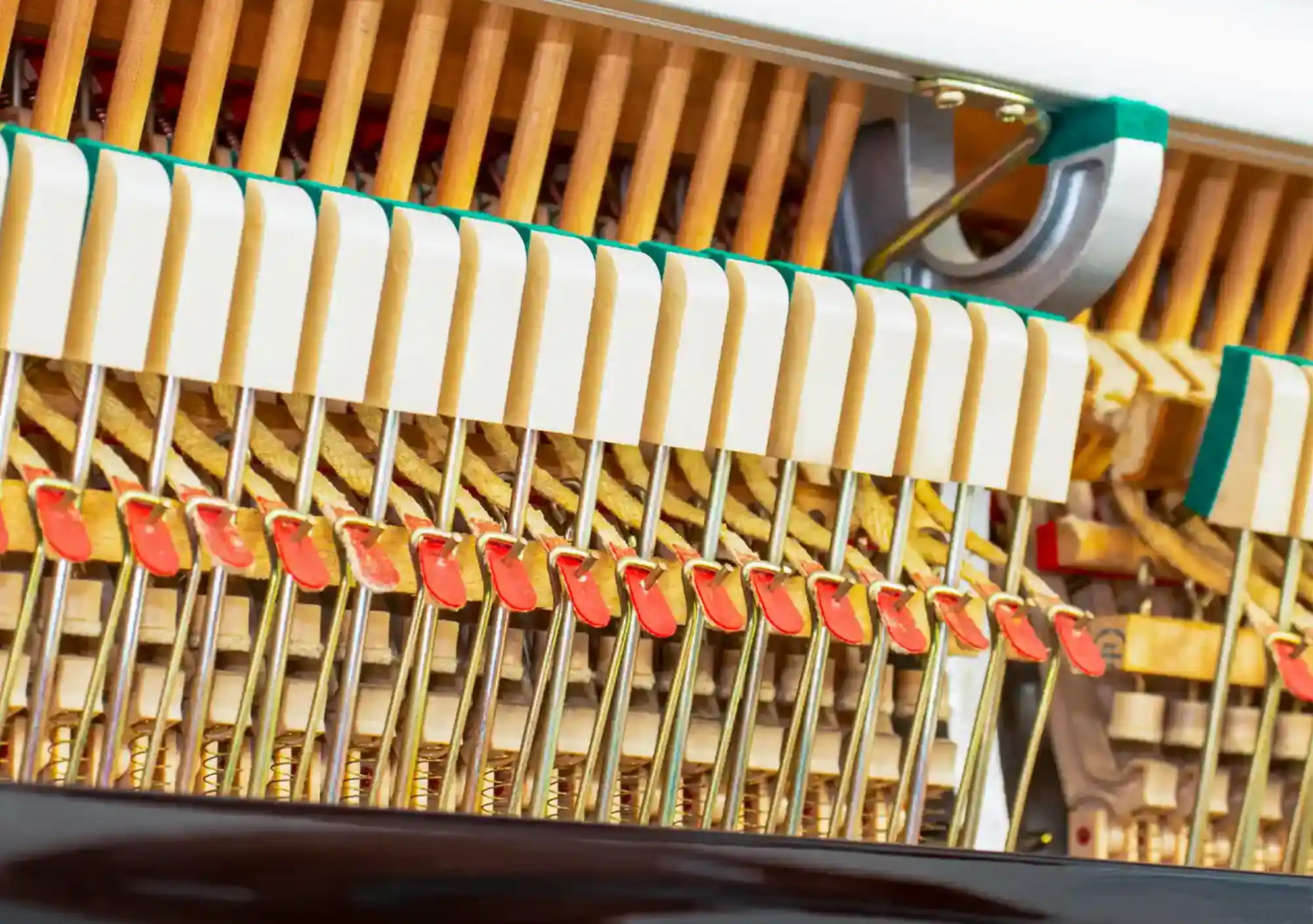 galary_image_product_5759--5792