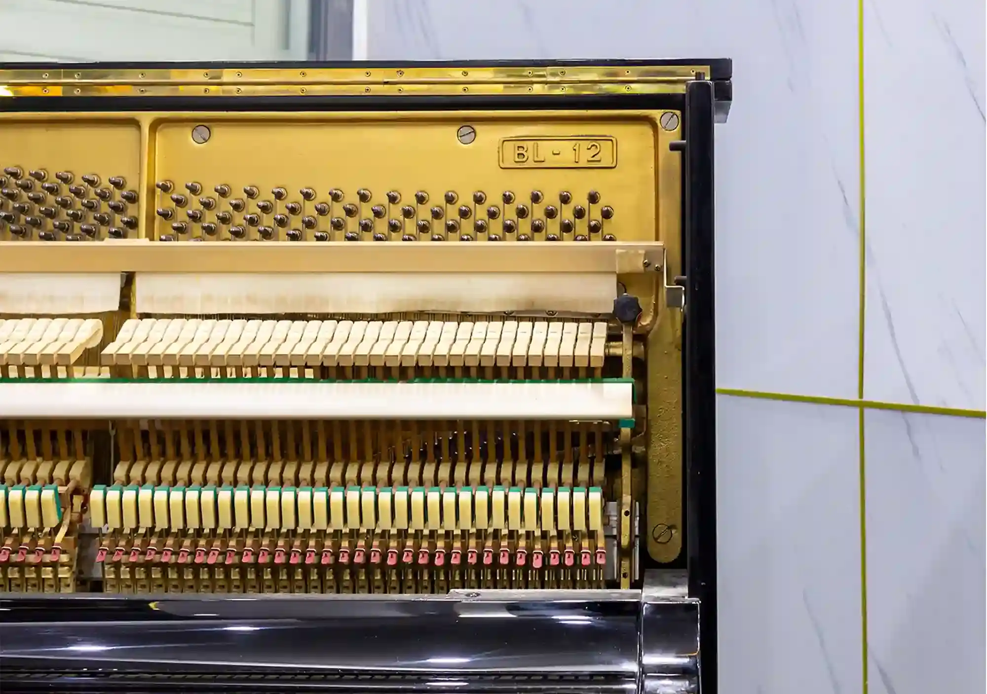 galary_image_product_5536--5597