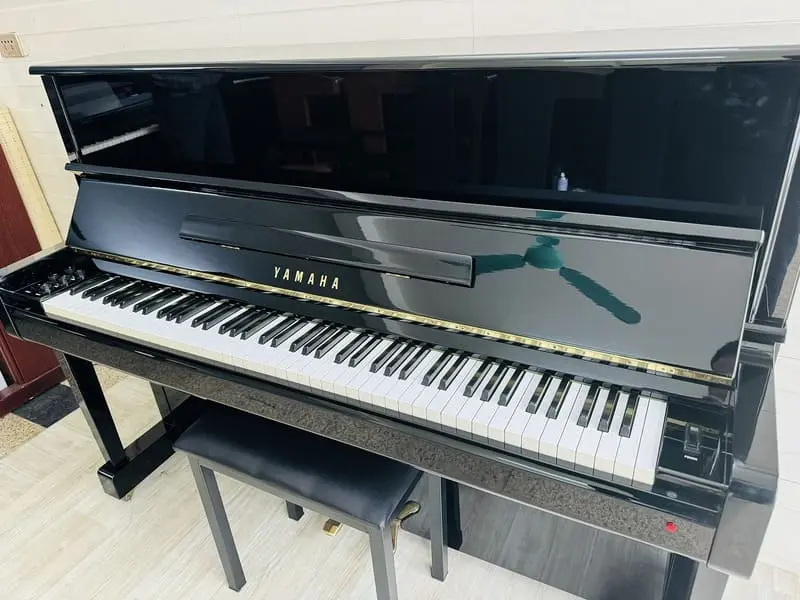 co-nen-mua-dan-piano-dien-gia-co-uu-va-nhuoc-diem-chi-tiet-1