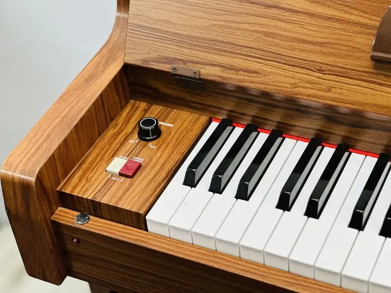 co-nen-mua-dan-piano-dien-gia-co-uu-va-nhuoc-diem-chi-tiet-3