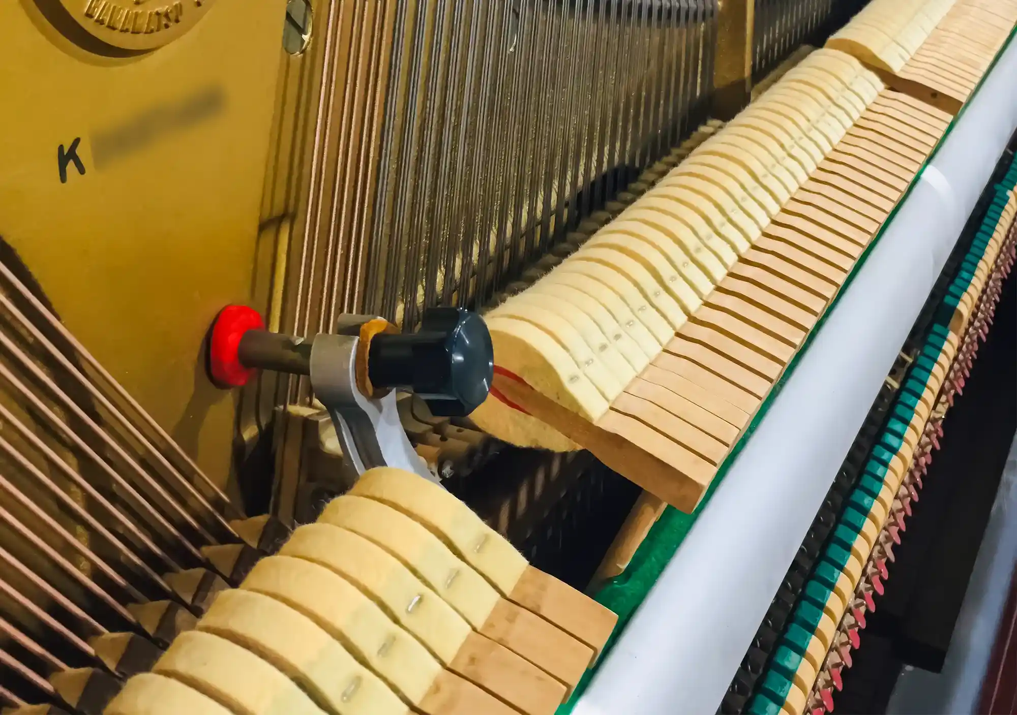 galary_image_product_5613--5631