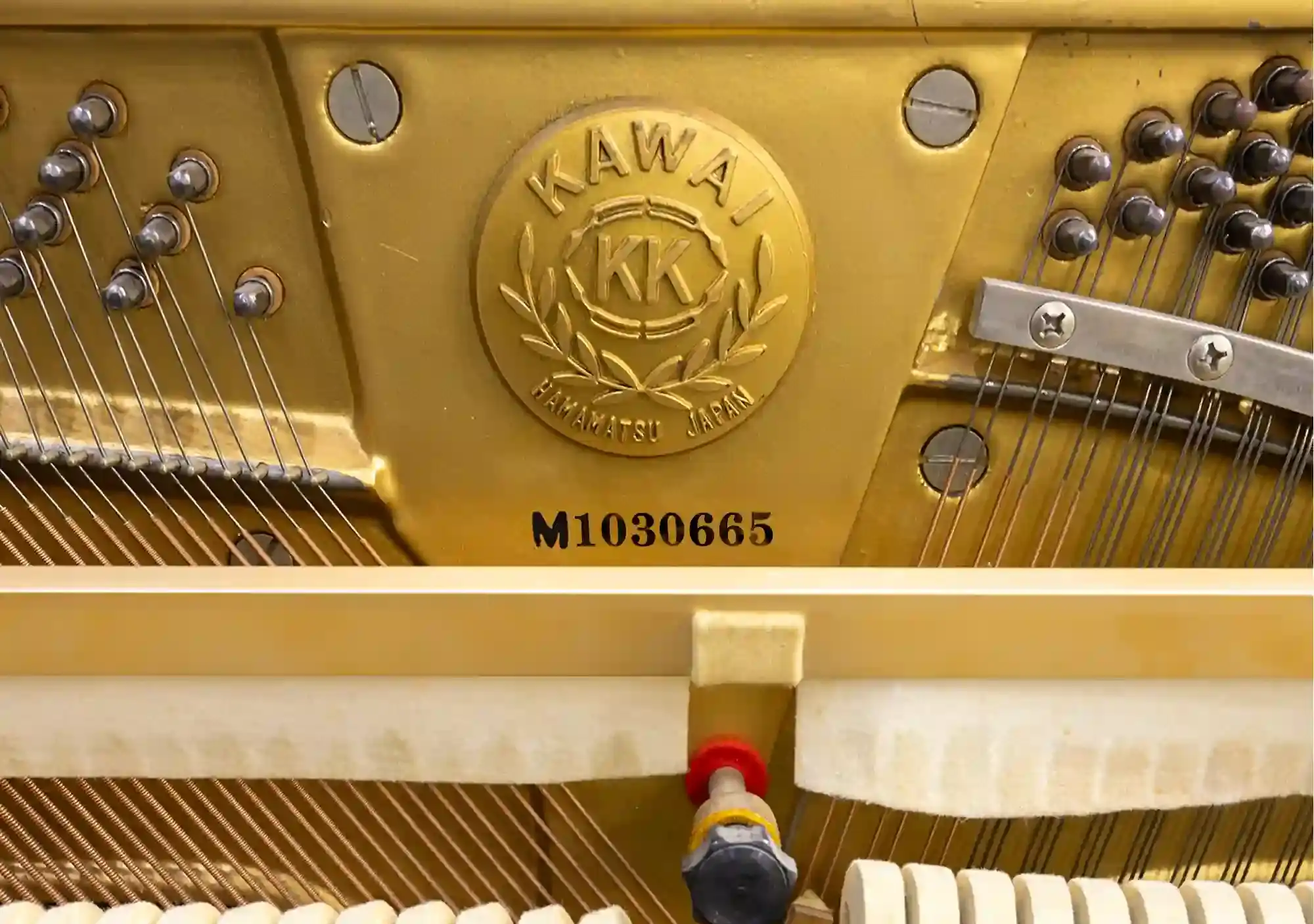 galary_image_product_5536--5601