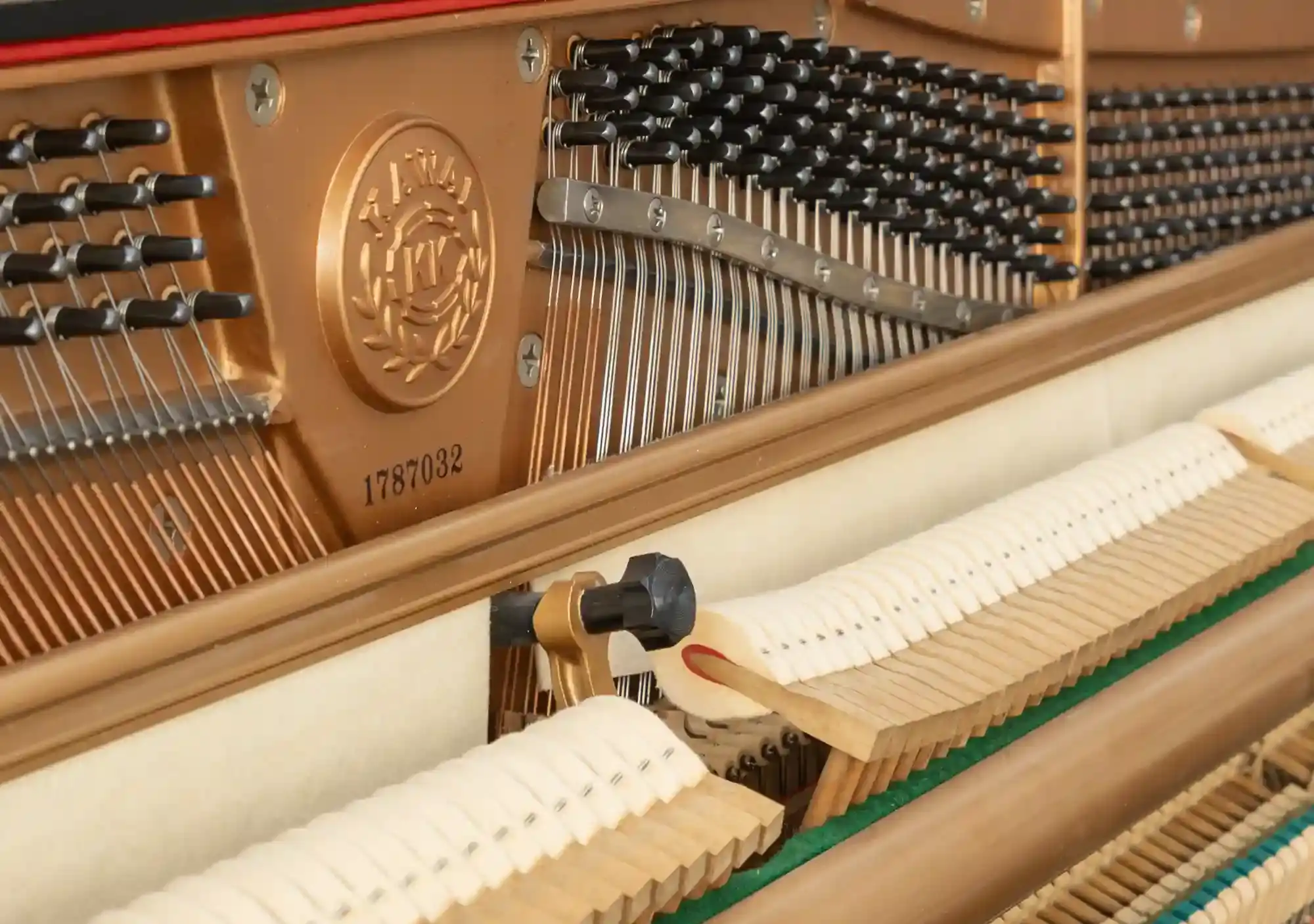 galary_image_product_5827--5841