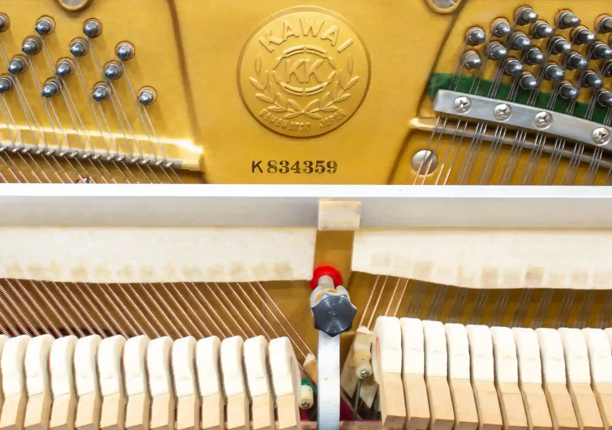 galary_image_product_5759--5782