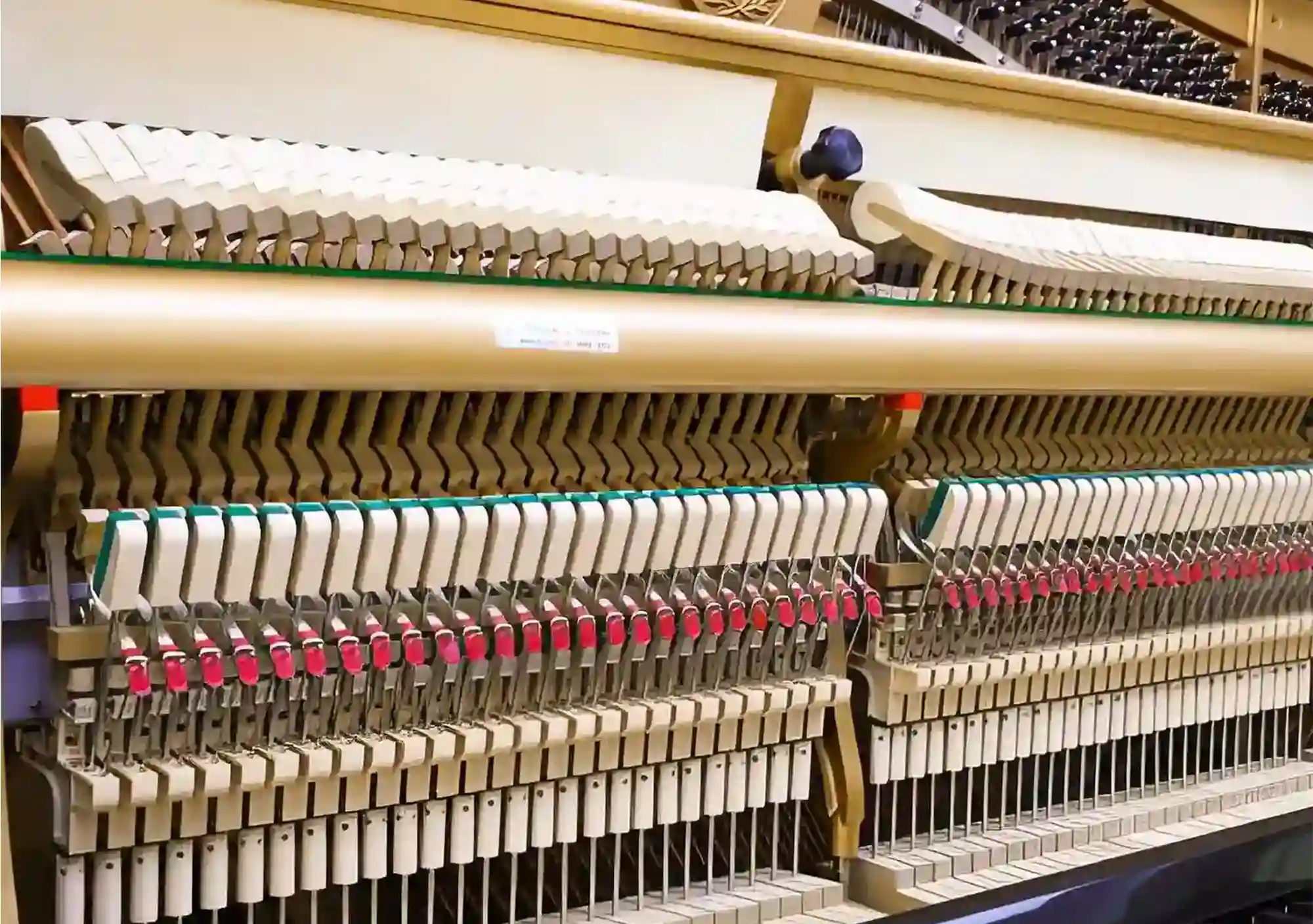 galary_image_product_5803--5817