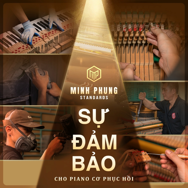 Giá Trị Của Đàn Piano Cơ Phục Hồi – Từ Hồi Sinh Đến Thăng Hoa Trong Cuộc Sống - 2