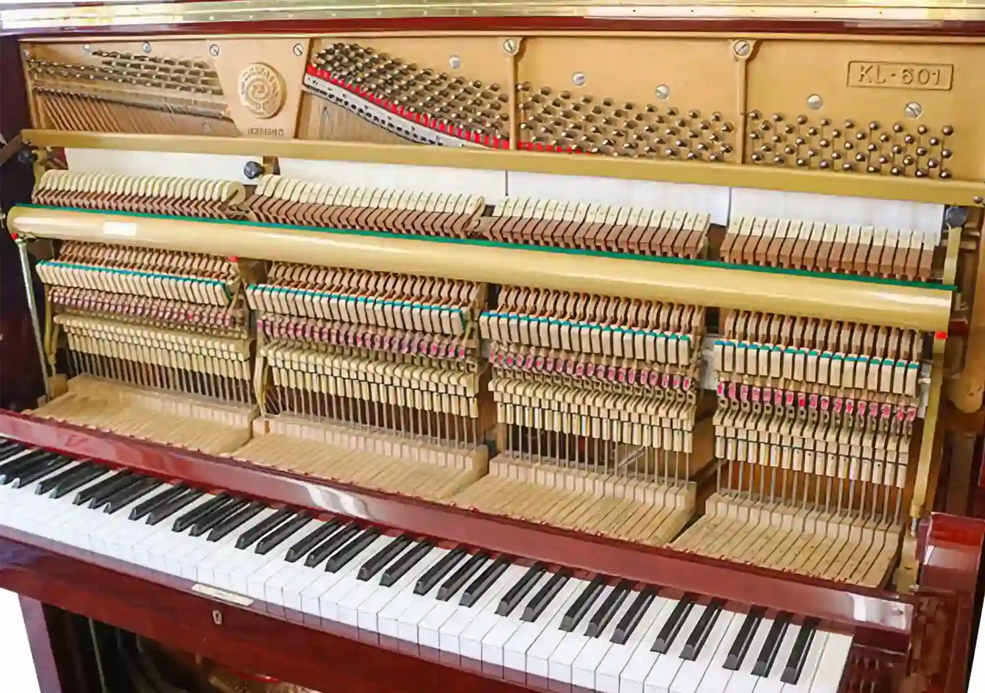 galary_image_product_5953--5963