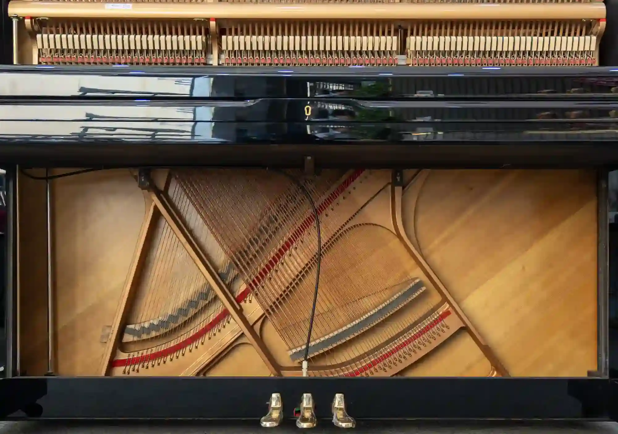 galary_image_product_5827--5846