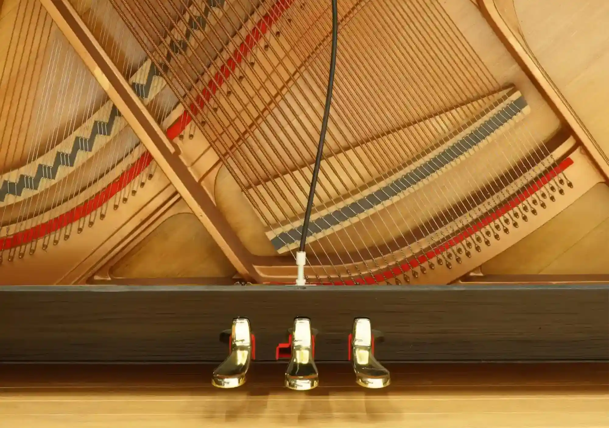 galary_image_product_5803--5821