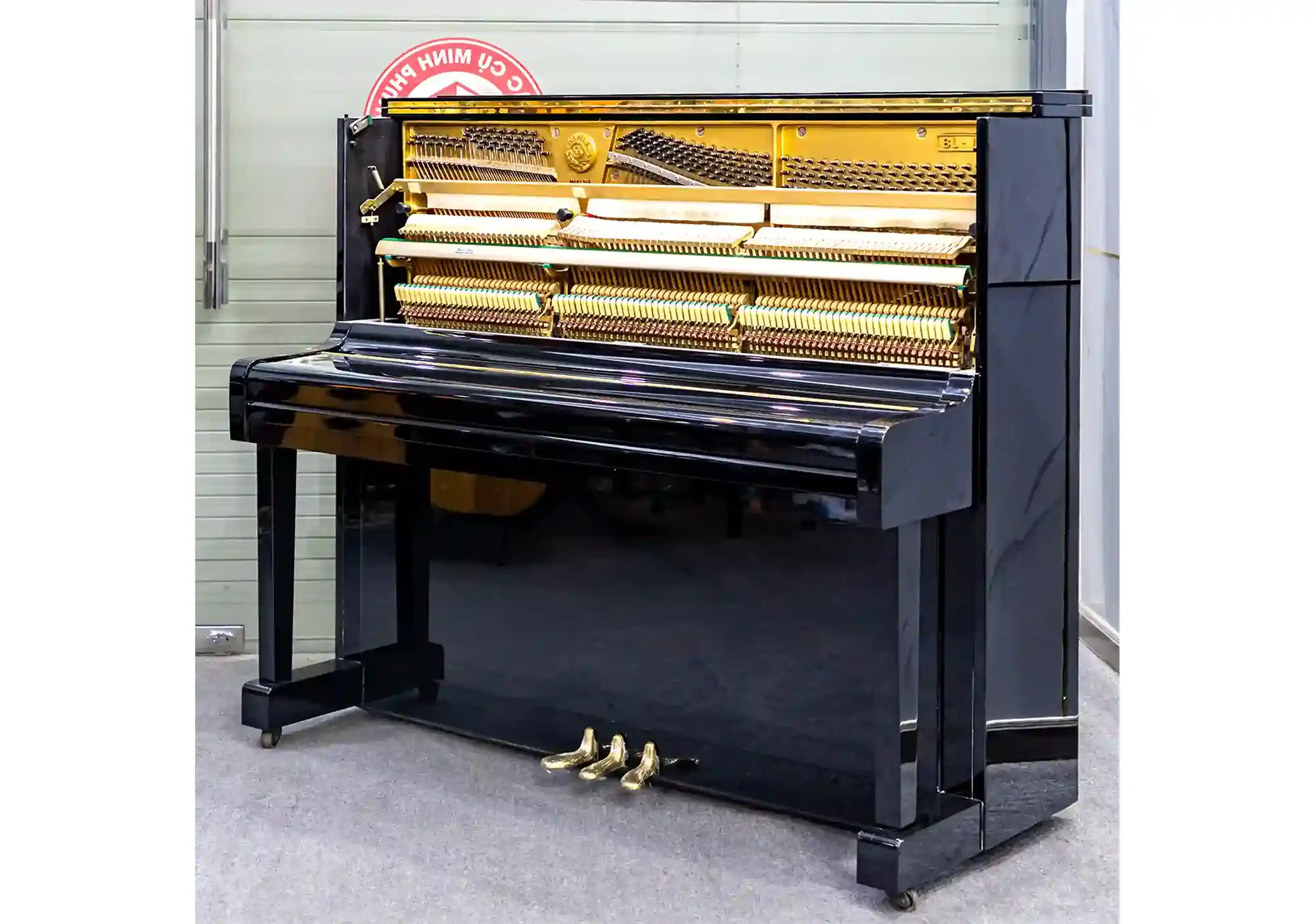 galary_image_product_5536--5605