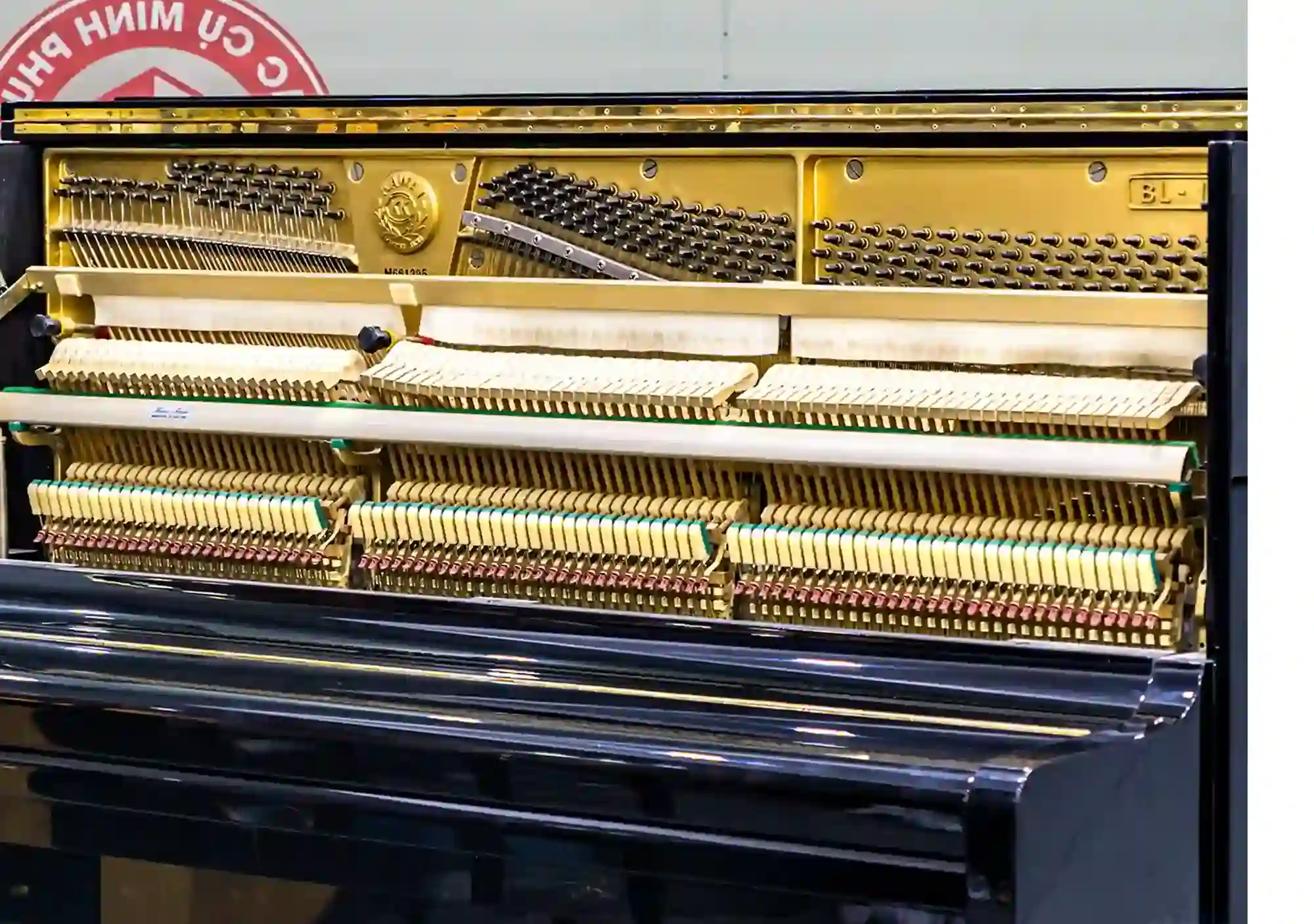 galary_image_product_5536--5608