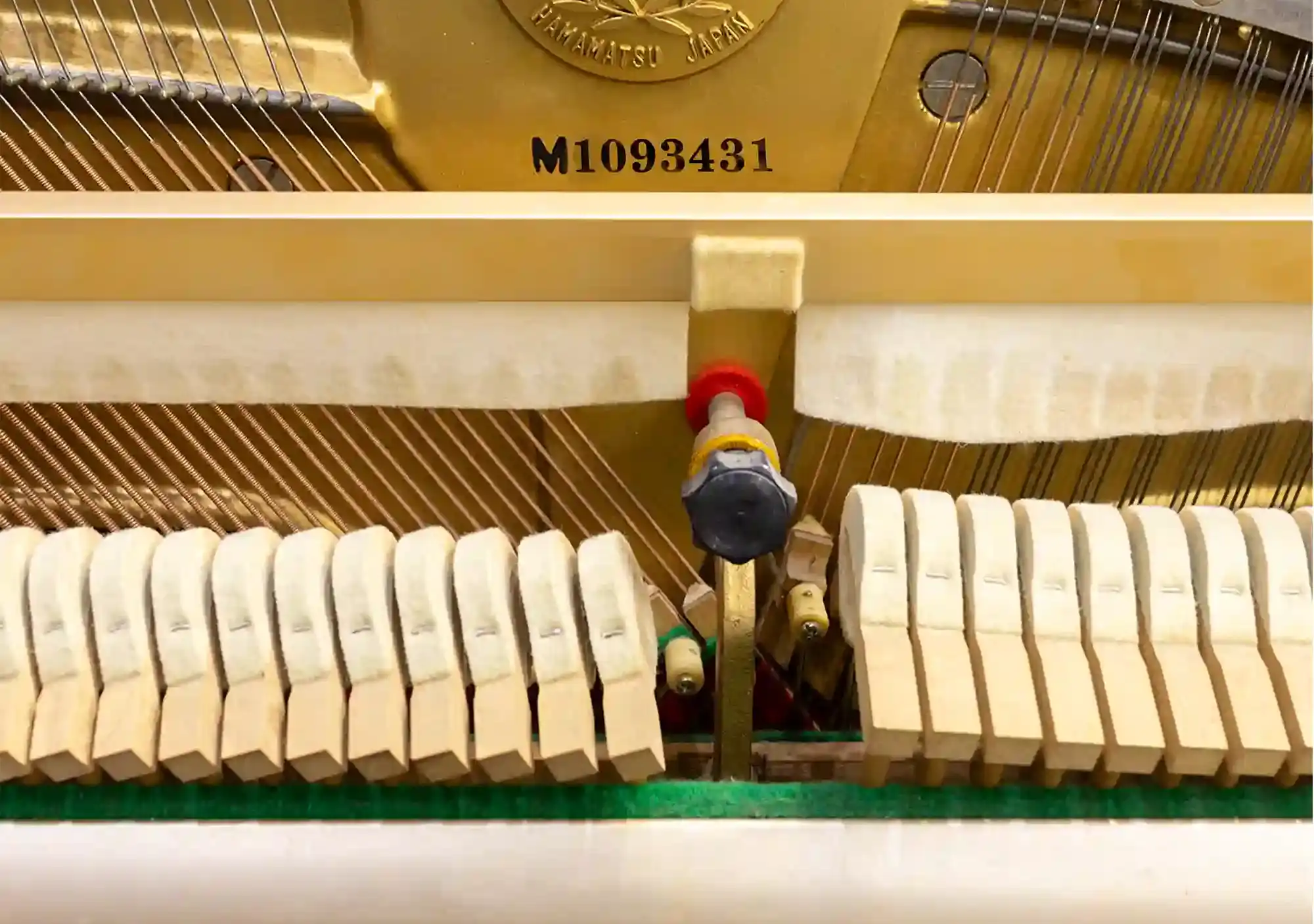 galary_image_product_5536--5611