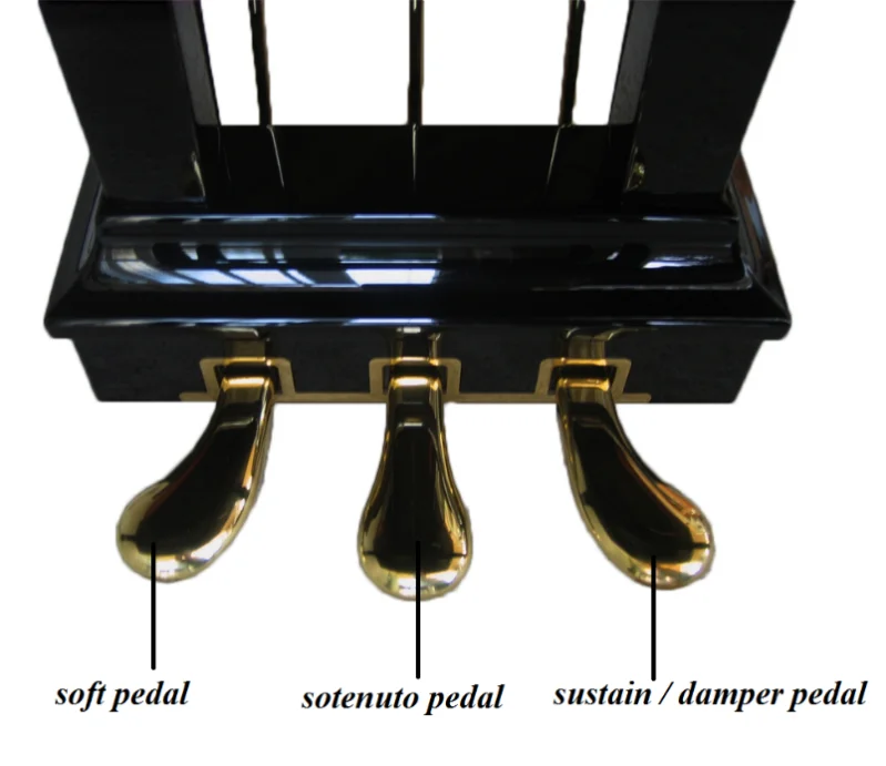 Các Thuật Ngữ Cơ Bản Trên Đàn Piano Người Mới Học Cần Biết 3
