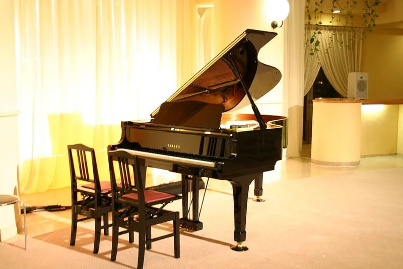Đàn Dương Cầm Là Gì - Khác Nhau Giữa Đàn Dương Cầm Và Đàn Piano 3