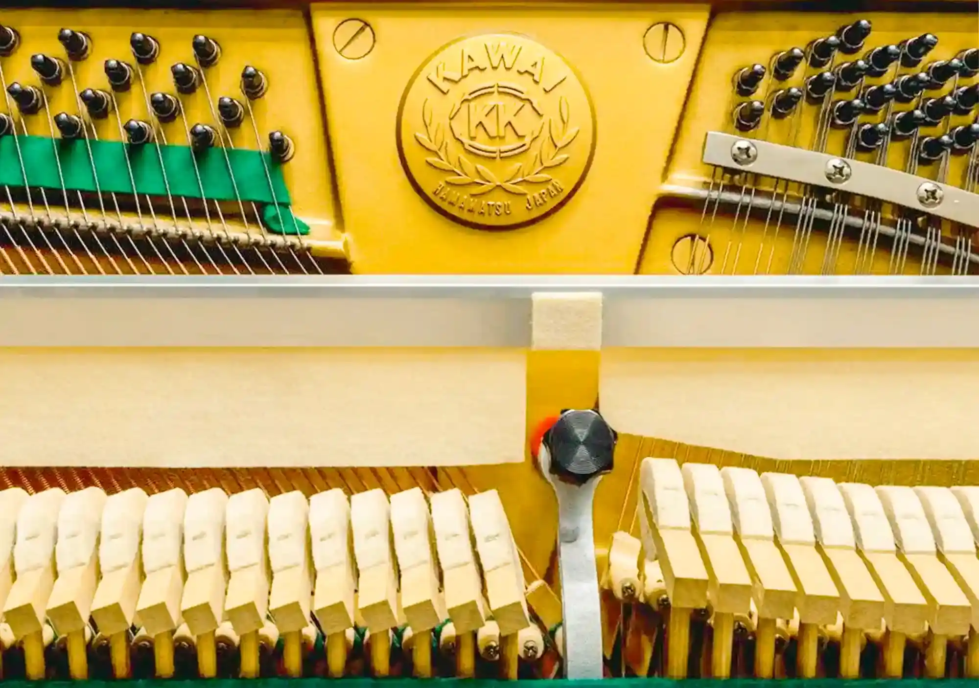 galary_image_product_6018--6034