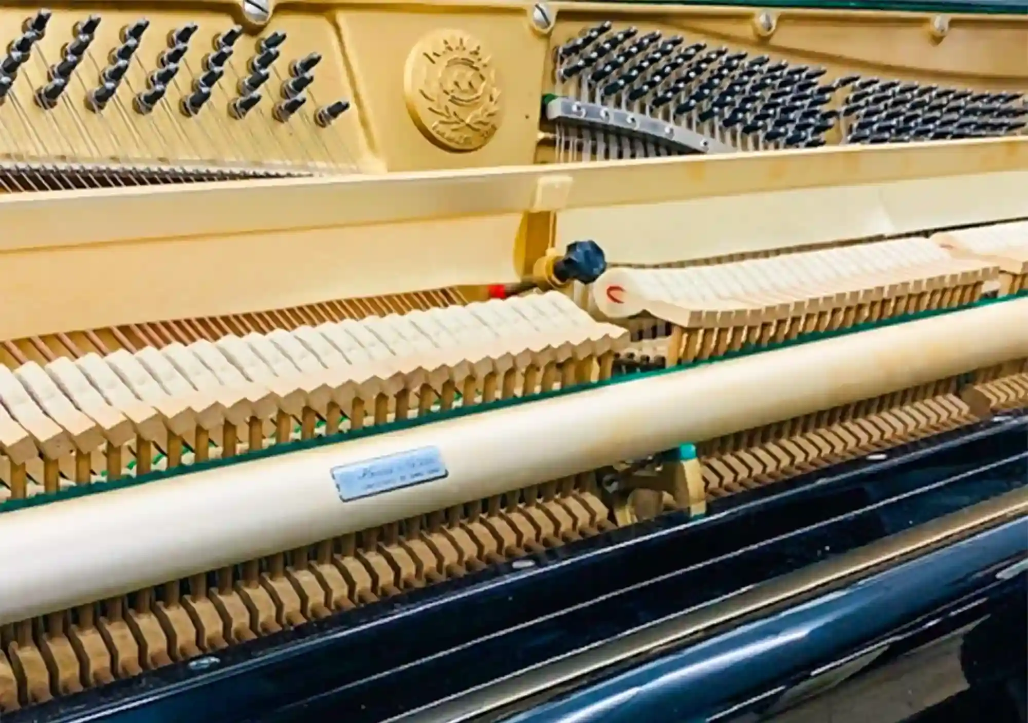 galary_image_product_6223--6224