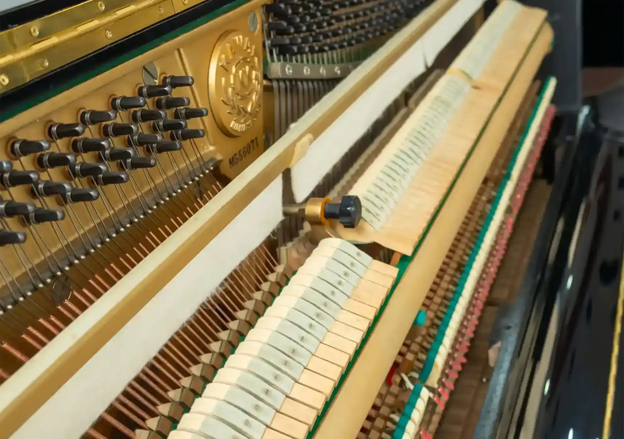 galary_image_product_6179--6181