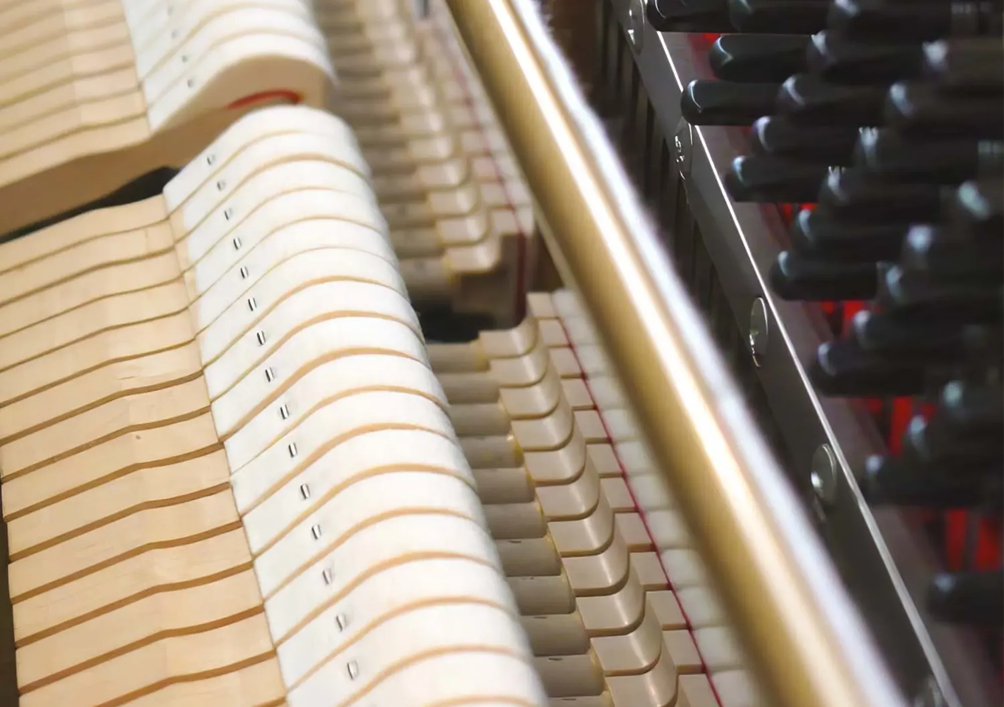 galary_image_product_6345--6361