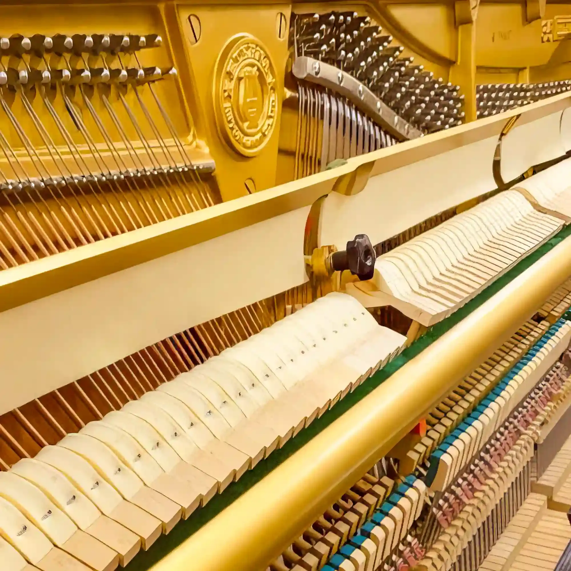 galary_image_product_6569--6573