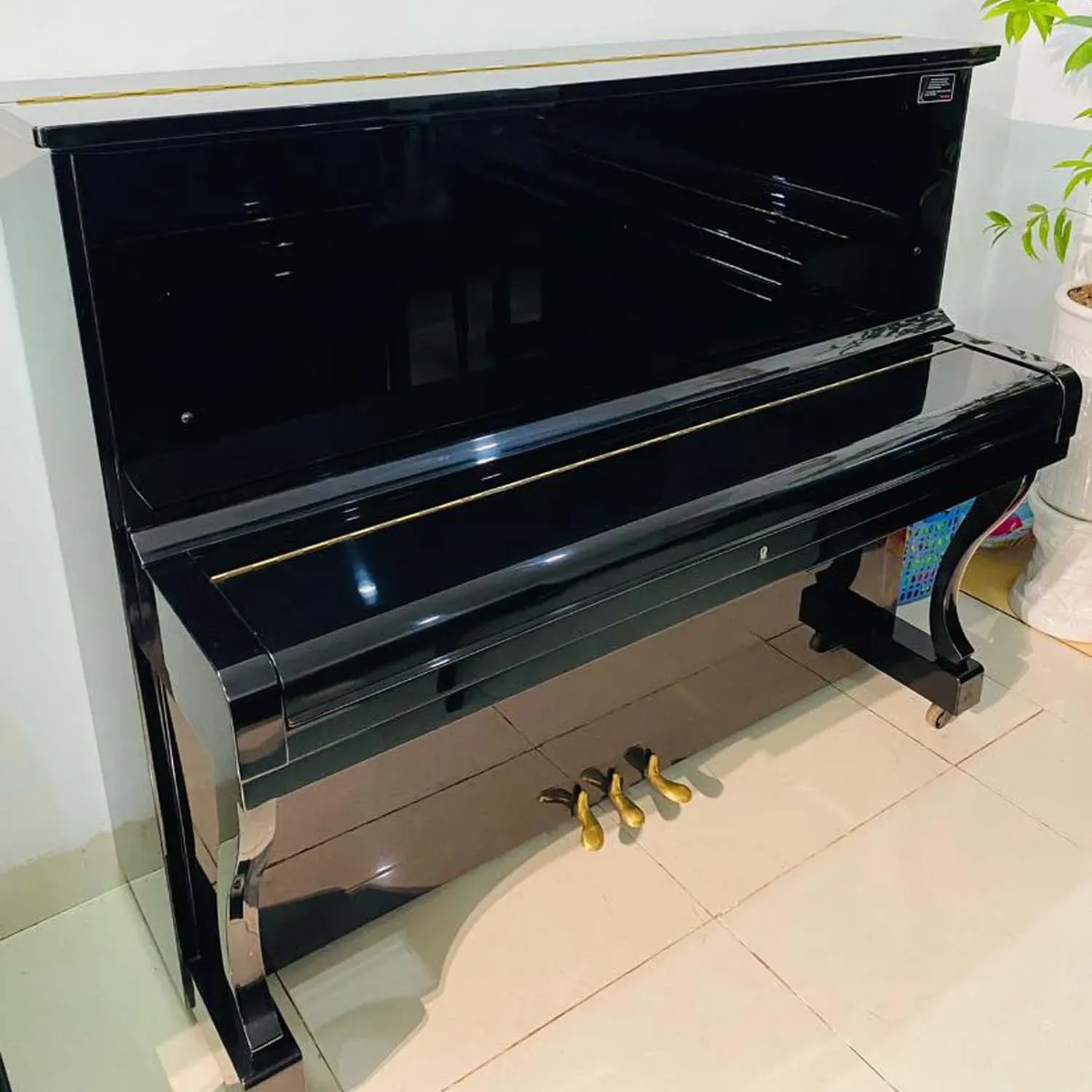 galary_image_product_6538--6542