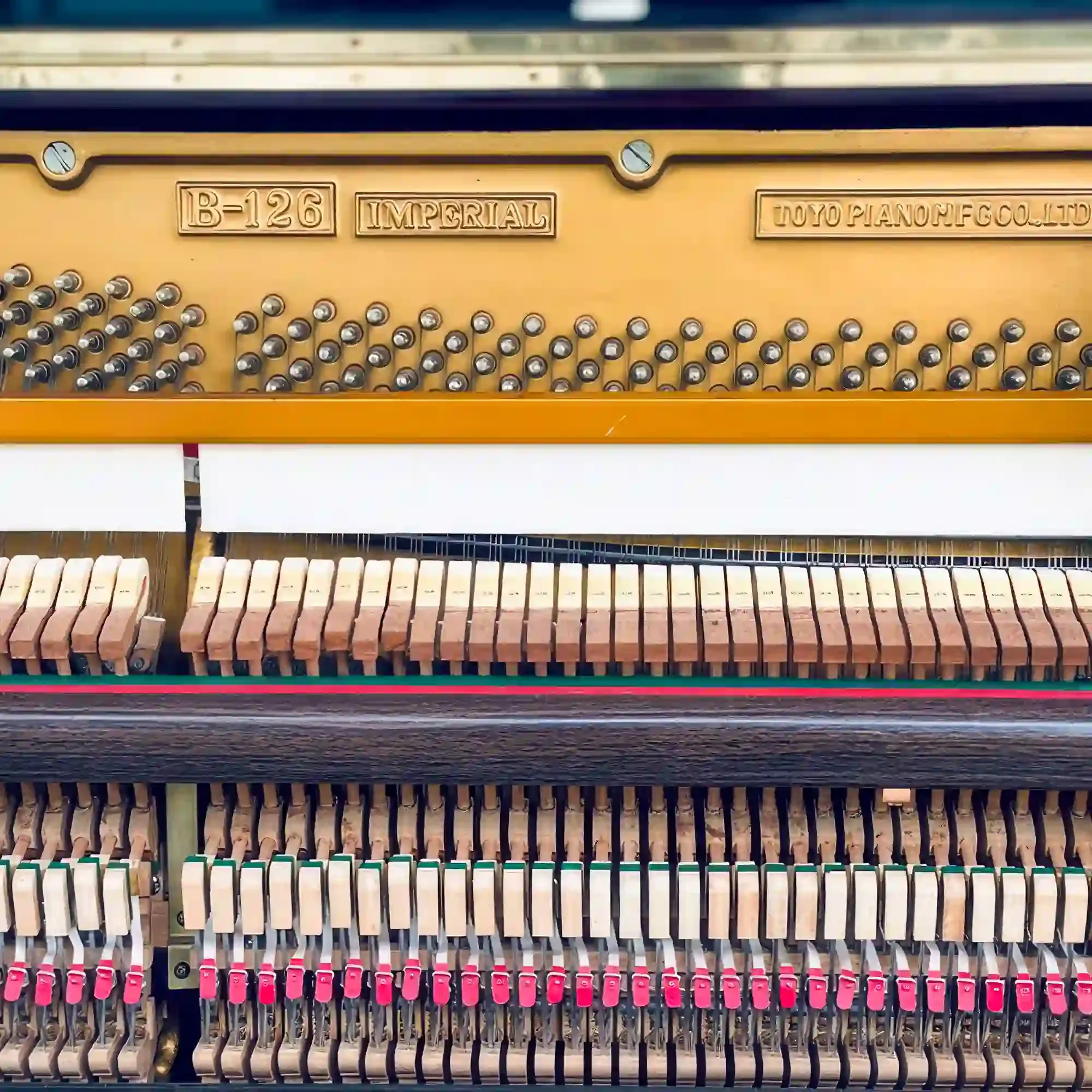 galary_image_product_6493--6498