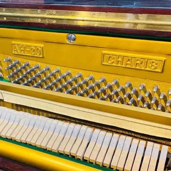 galary_image_product_6446--6451