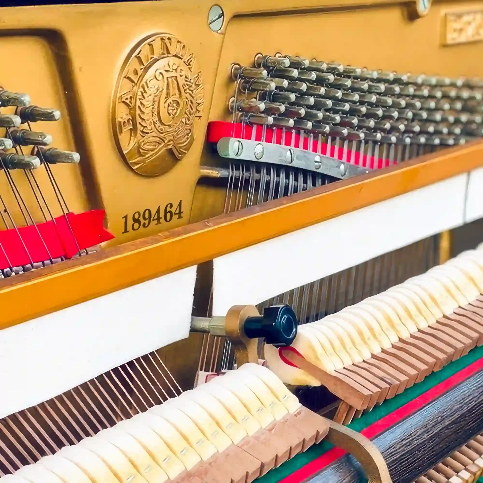 galary_image_product_6493--6499