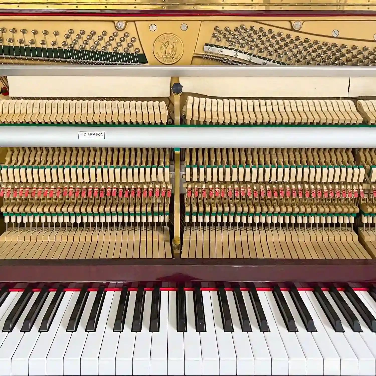 galary_image_product_6524--6532