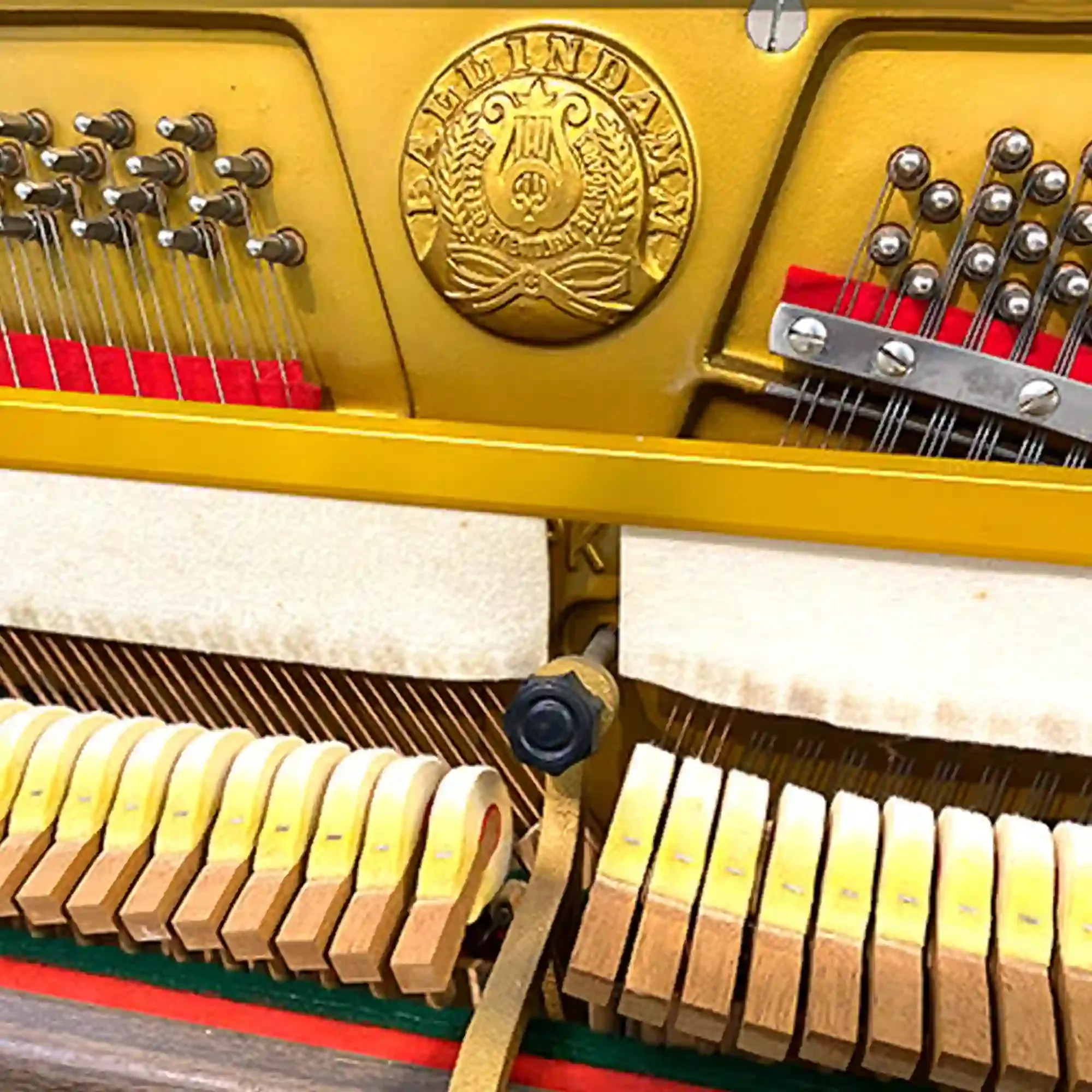 galary_image_product_6493--6501