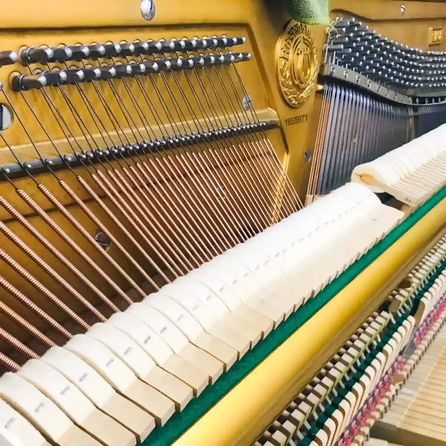 galary_image_product_6514--6521