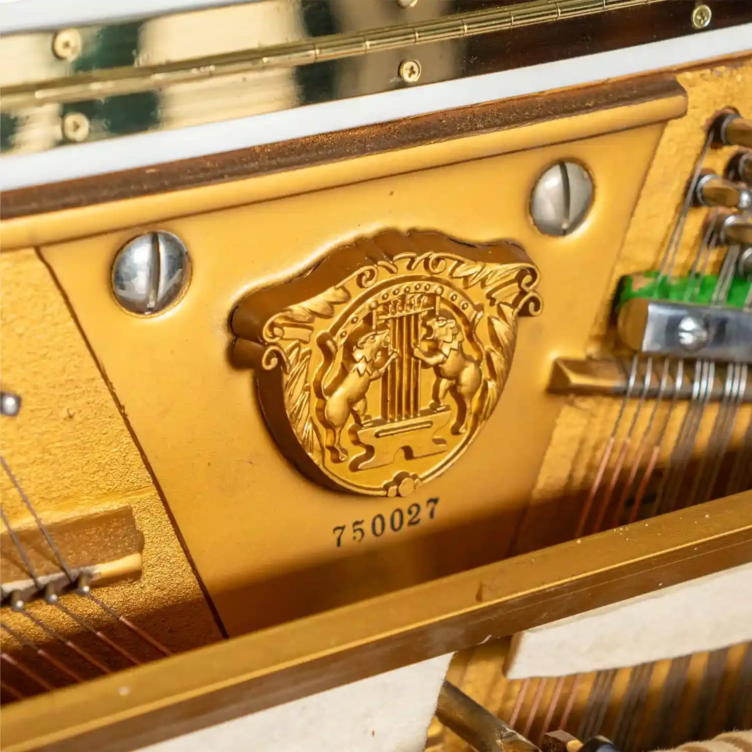 galary_image_product_6431--6441