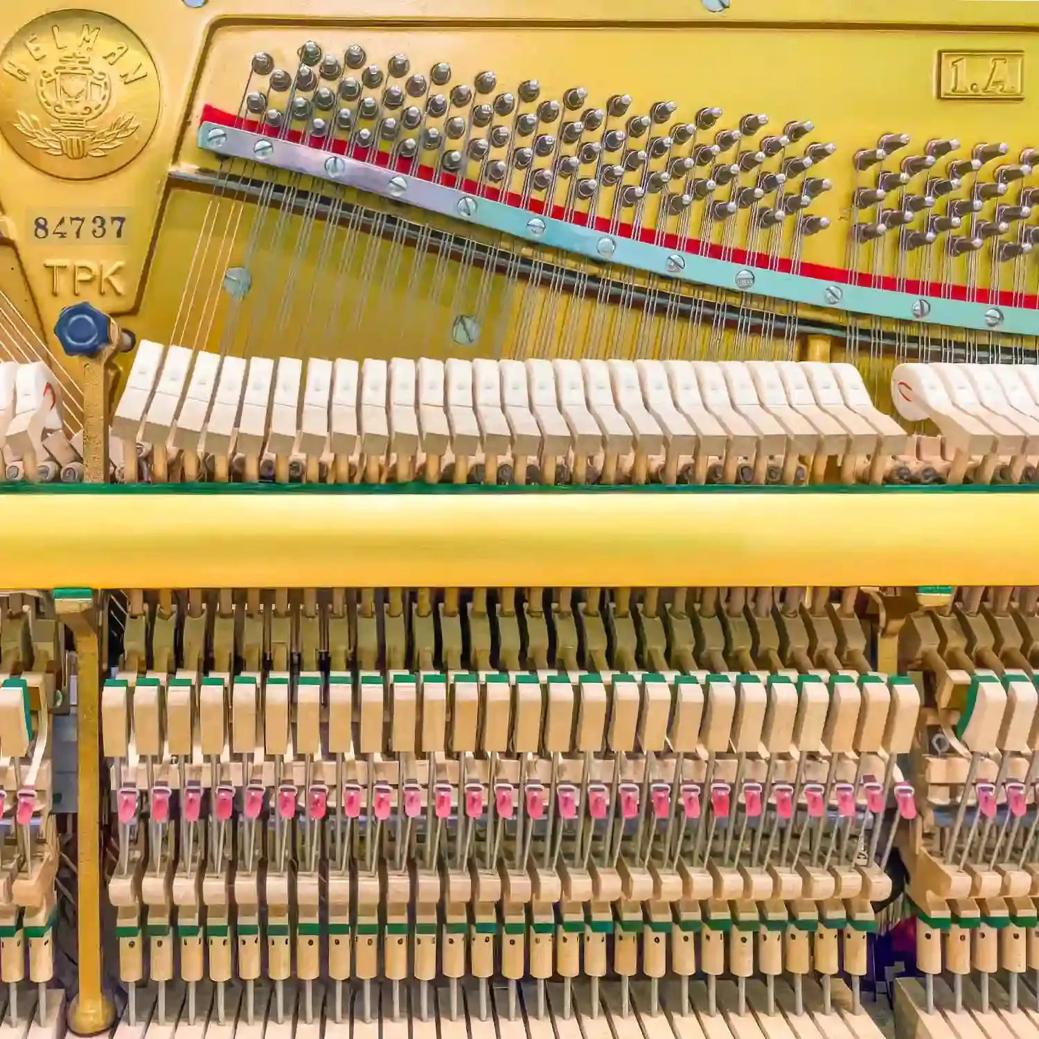 galary_image_product_6538--6548