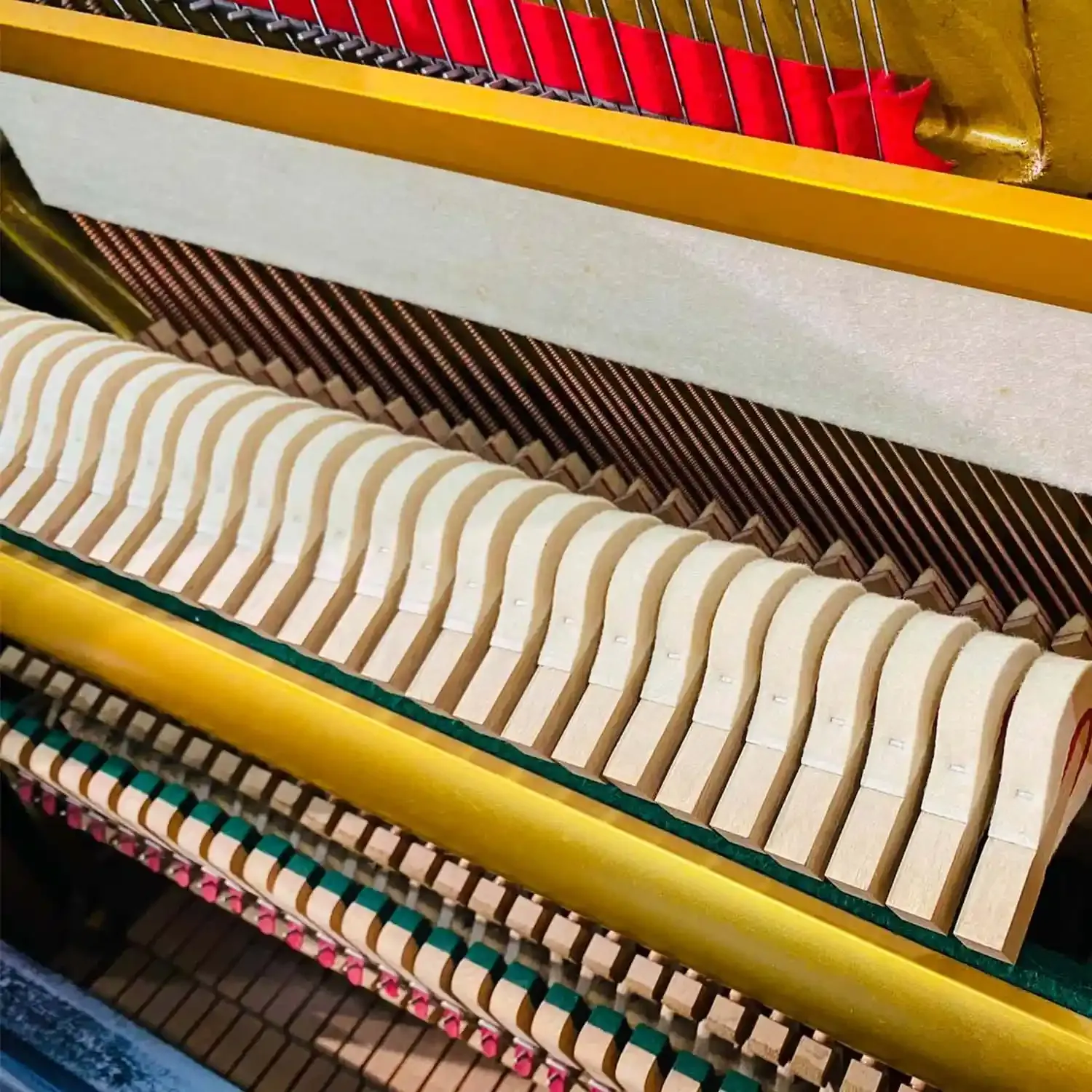 galary_image_product_6538--6549